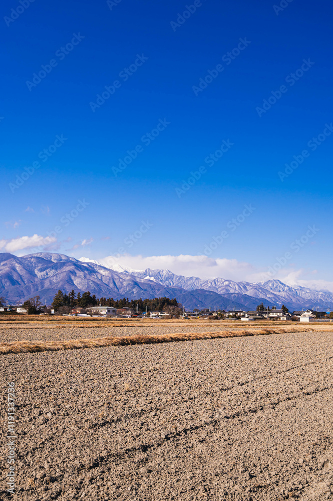 冬の広大な田園風景と北アルプス