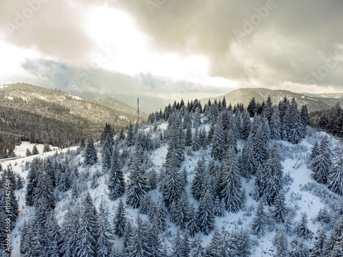 Snowy hill top view. Aerial view of winter forest with frozen pine trees in background. photo