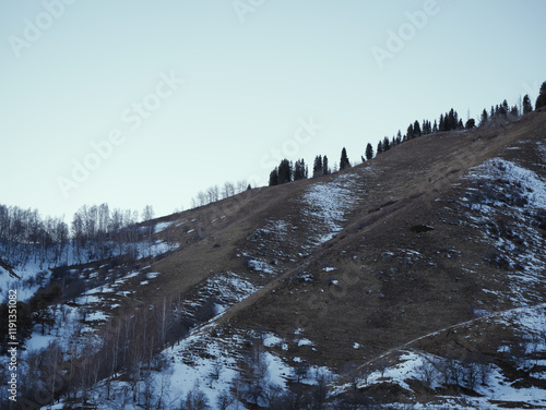 Wallpaper Mural winter landscape with snow Torontodigital.ca