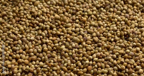 Top view of dried coriander seeds as background texture, table spin. Vertical video.