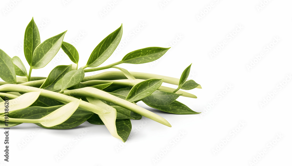 Green leaves, isolated on white background, suitable for health, nature, or wellness websites Green leaves, isolated on white background, suitable for health, nature, or wellness websites