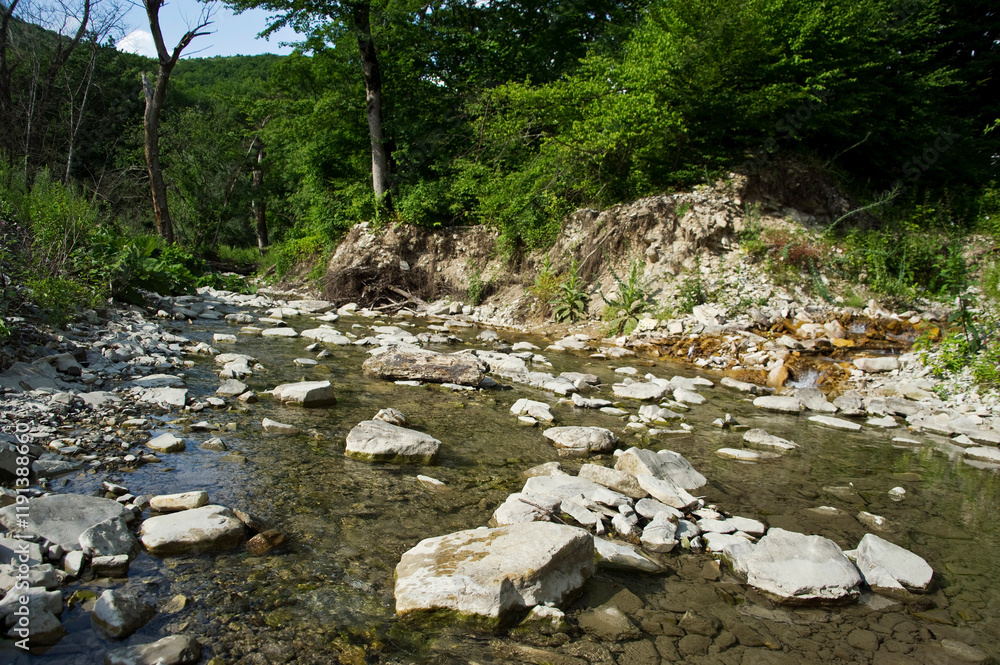 A small river in a wooded mountainous area. A small river in a wooded mountainous area.