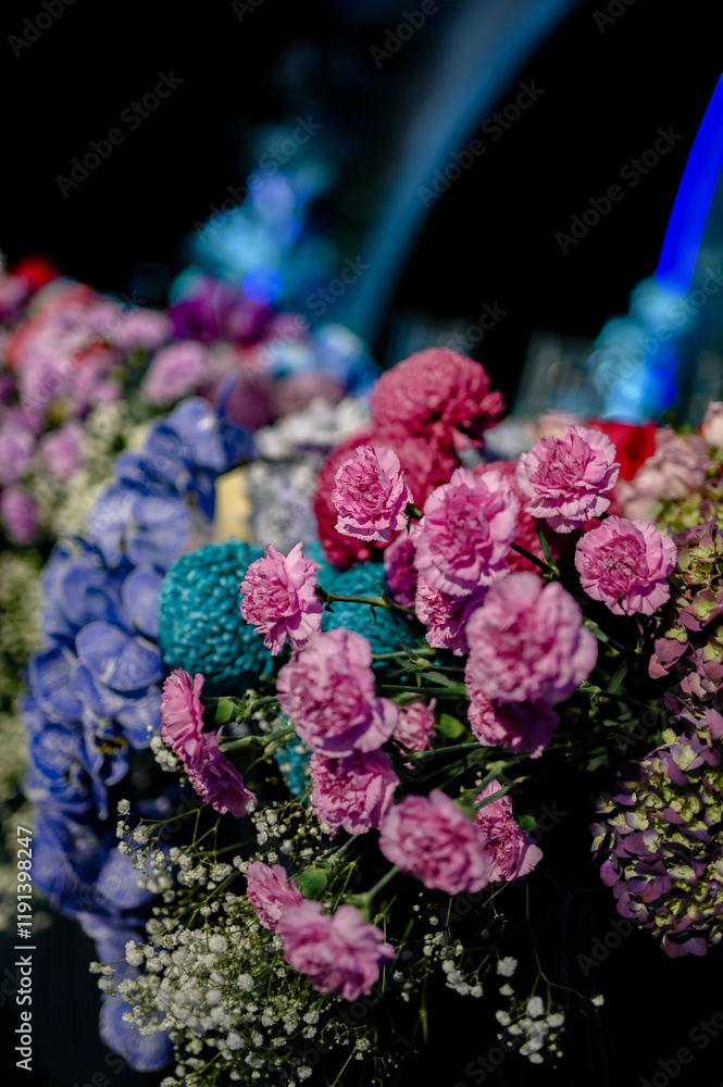 beautiful purple blue pink rose isolated with small plants for wedding or private party beautiful purple blue pink rose isolated with small plants for wedding or private party