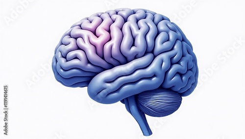 Brain, mind, neurology, nervous system, psyche, thoughts, ideas, creativity