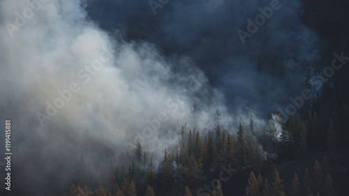 Dense smoke rising from a forest fire among pine trees in a dark mountainous landscape
