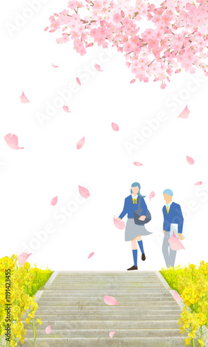 桜の木と菜の花咲く土手沿いを歩く学生男女ー土手に階段ー卒業入学ー縦型ベクターイラスト白バック背景素材