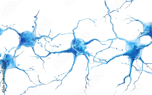 Blue neurons isolated on white or transparent background