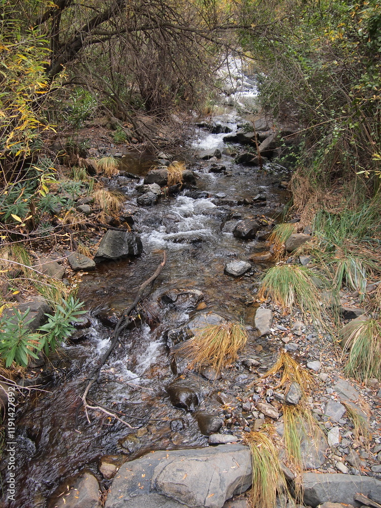 Obraz premium Río de los Caballos (Tolox, Province of Málaga, Andalusia, Kingdom of Spain)