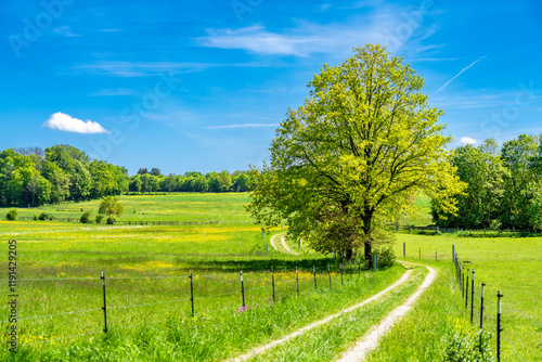 Idyllischer Feldweg lädt zum Wandern ein im Leutstettner Moos nahe Starnberg