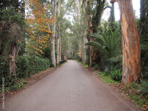 Tolox (Province of Málaga, Andalusia, Kingdom of Spain) photo