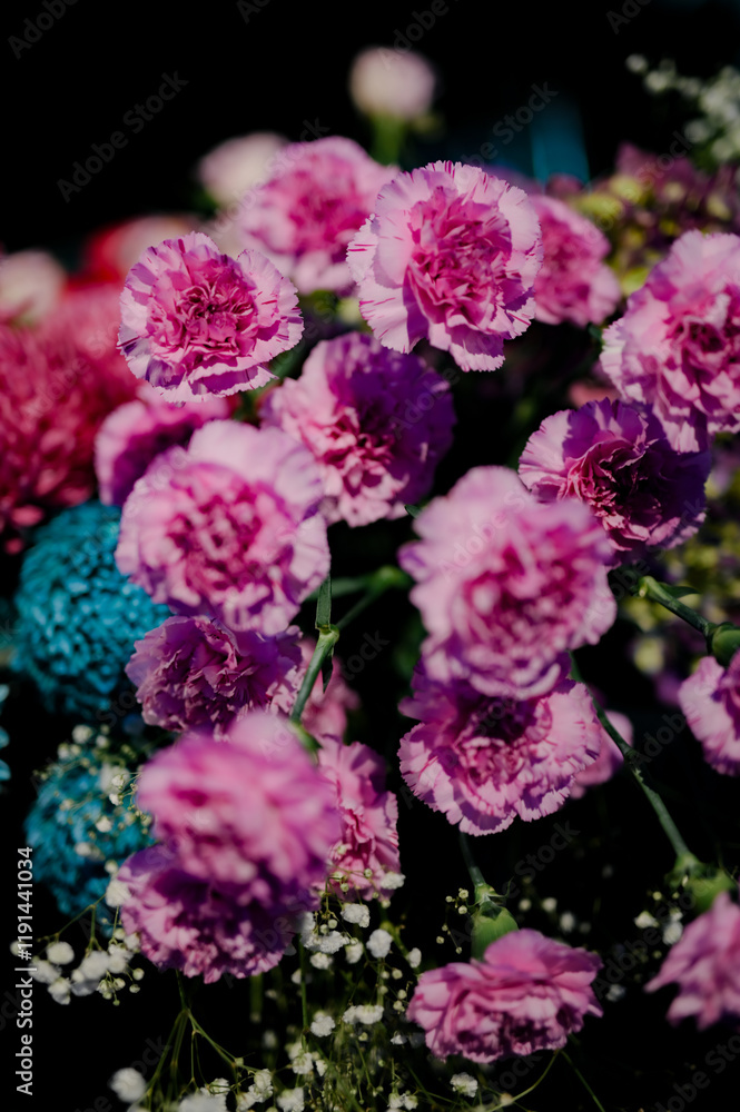 beautiful blue pink rose isolated with small plants for wedding or private party beautiful blue pink rose isolated with small plants for wedding or private party
