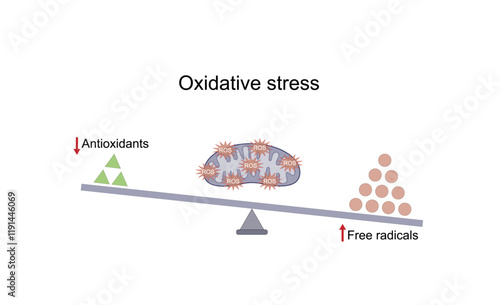 Oxidative stress, an imbalance of free radicals and antioxidants. Vector scientific illustration.