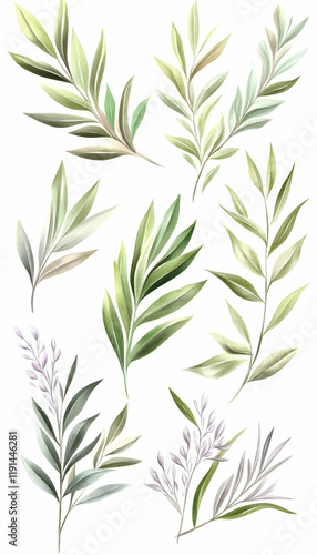 Watercolor Olive Branch Collection; Green leaves, botanical illustration, isolated on white; design elements for invitations, cards