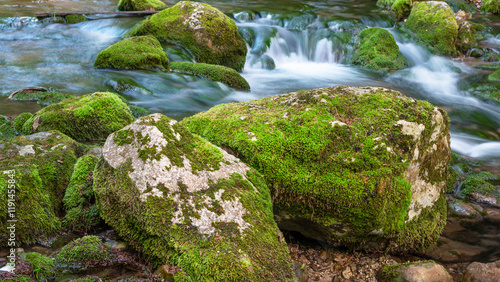 River deep in mountain forest.