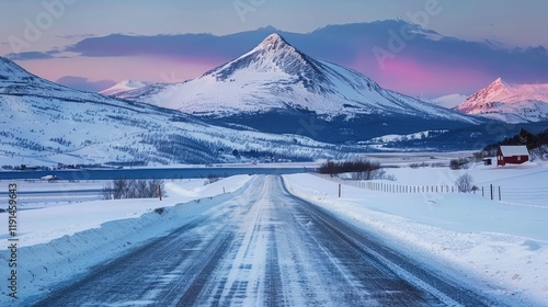 Wallpaper Mural A road leading to the snow-covered mountain Torontodigital.ca