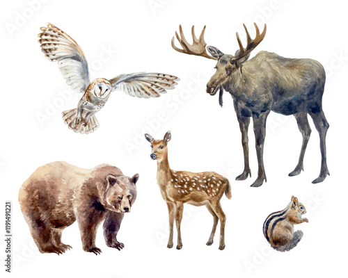 Forest animals set watercolor. Bear, elk, fallow deer, chipmunk, owl. Vector illustration. For cards, invitations, banners, wildlife protection day.