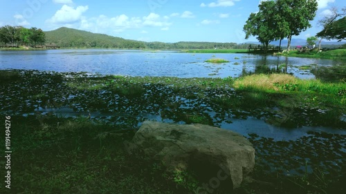 reflection of trees in water