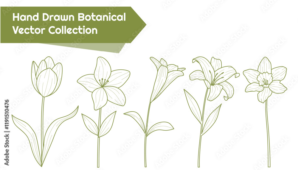 Hand drawn botanical flowers vector collection set Hand drawn botanical flowers vector collection set