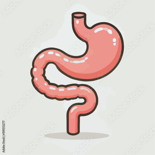 vector illustration of human stomach organ