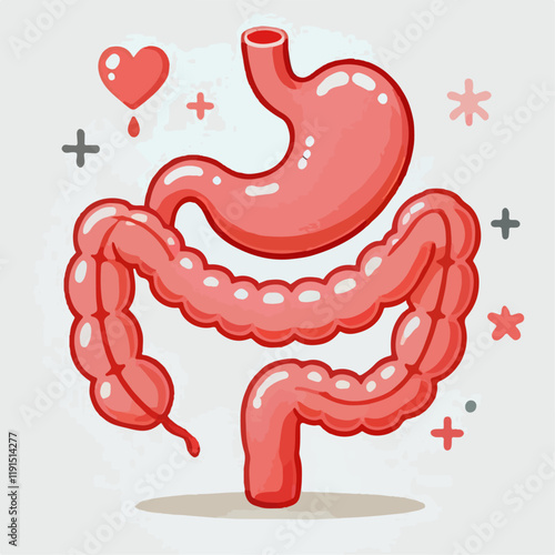 vector illustration of human stomach organ