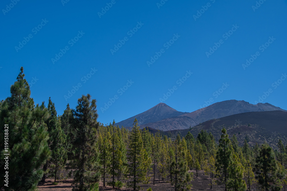 The viewpoint