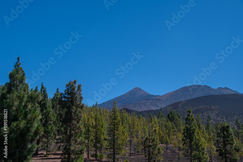 The viewpoint 