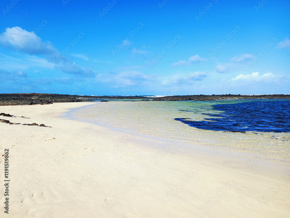 Obraz premium Landscape of fine sand on the beach at low tide in Fuerteventura. Coastal landscapes and wild nature. Paradise lagoon background.