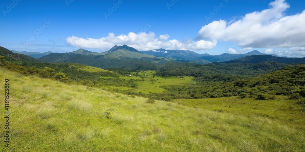 A beautiful, lush green field with a clear blue sky. The sky is dotted with clouds, giving the scene a peaceful and serene atmosphere A beautiful, lush green field with a clear blue sky. The sky is dotted with clouds, giving the scene a peaceful and serene atmosphere