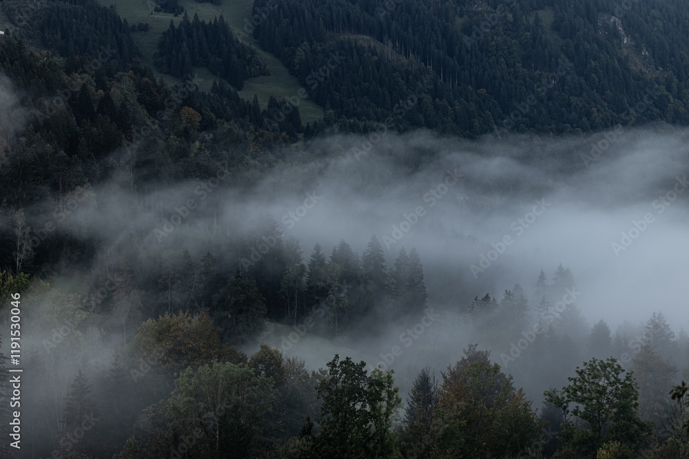Herbst Morgen Herbst Morgen