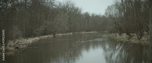 Reflection of trees in water anamorphic