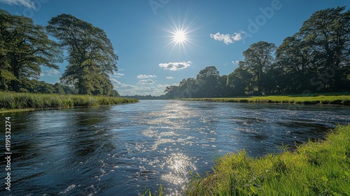 Tranquil river reflecting blue sky and lush greenery in remote wilderness area