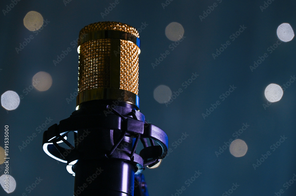 studio dynamic microphone for recording vocals and podcasts
