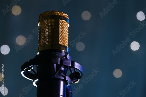Obraz na płótnie studio dynamic microphone for recording vocals and podcasts
w salonie