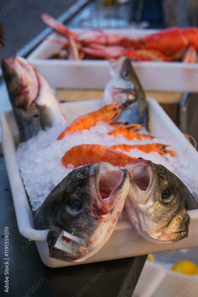 peixe fruto mar mercado nice frança comérico feira