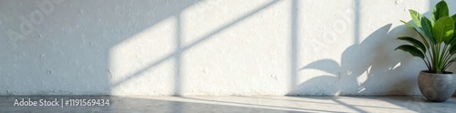 Dark, organic shadow cast on whitewashed, textured wall , silhouette, monochrome