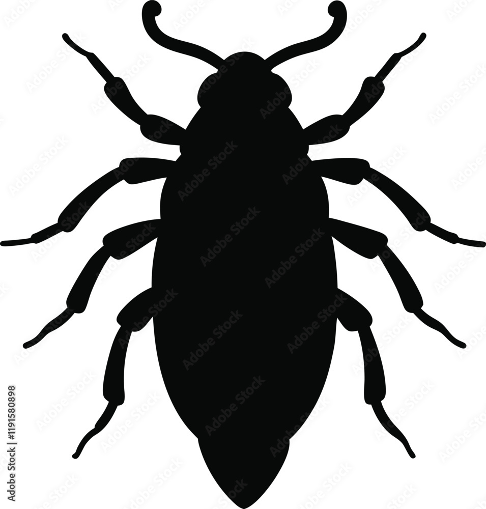 Asian cockroach line arts with white background. Cockroach silhouette, insect roach and bug species, vector. Biology or zoology and pest animal creatures, American