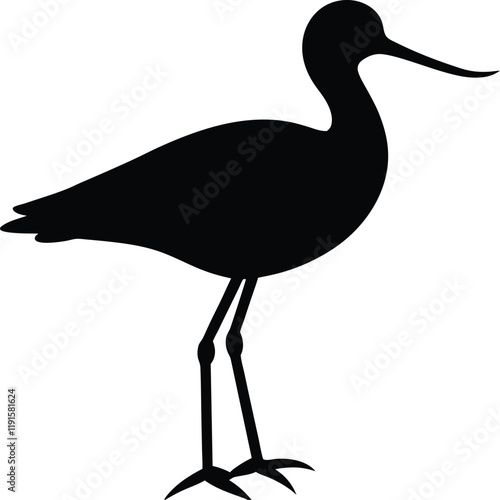 Avocet line arts with white background. Avocet Vector Silhouette , Avocet Illustration , Avocet Art Hand Drawn Line Art
