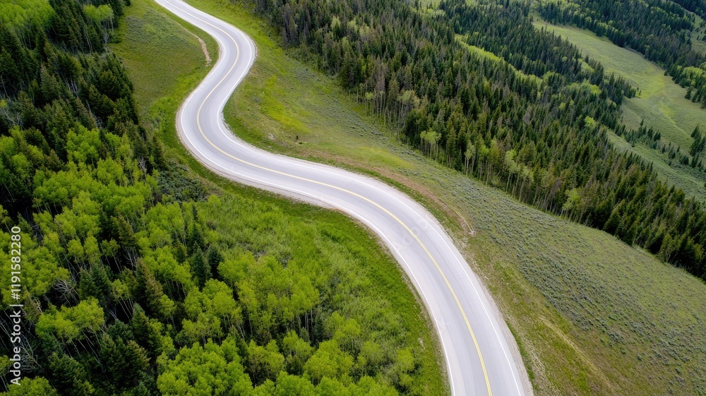 Serpent-like road winds through lush green forest, immersed in nature Serpent-like road winds through lush green forest, immersed in nature