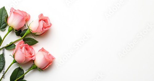 Pink flowers and empty space background. Valentines day, mothers day, womens day concept. Flat lay, top view