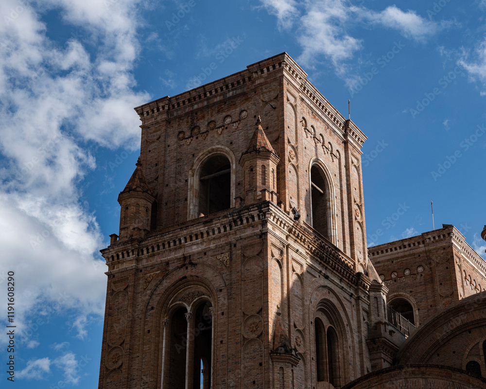 Fototapeta premium Catedral de la Inmaculada Concepción