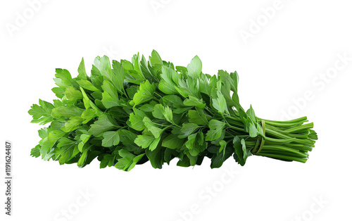 Fresh Green Parsley Bunch on White Background Isolated on transparent background