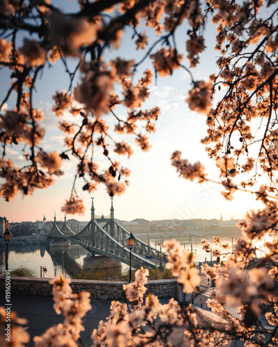 Obraz na płótnie Beautiful Liberty Bridge with almond blossom in Budapest, Hungary w salonie