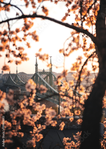 Obraz na płótnie Beautiful Liberty Bridge with almond blossom in Budapest, Hungary w salonie