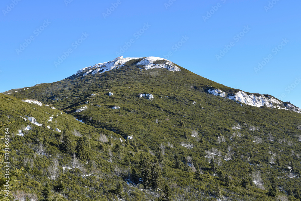 Veliki Sneznik peak with juniper covered slopes Veliki Sneznik peak with juniper covered slopes