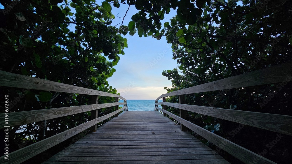 Obraz premium wooden pier leading to the ocean surrounded by greenery