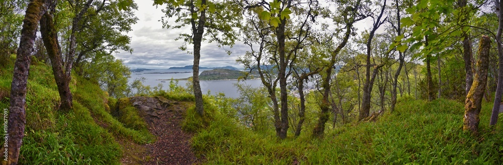 Coastline Fjord views from Alesund, Norway from hiking trail above the city, travel scenery Scandinavia Europe Coastline Fjord views from Alesund, Norway from hiking trail above the city, travel scenery Scandinavia Europe