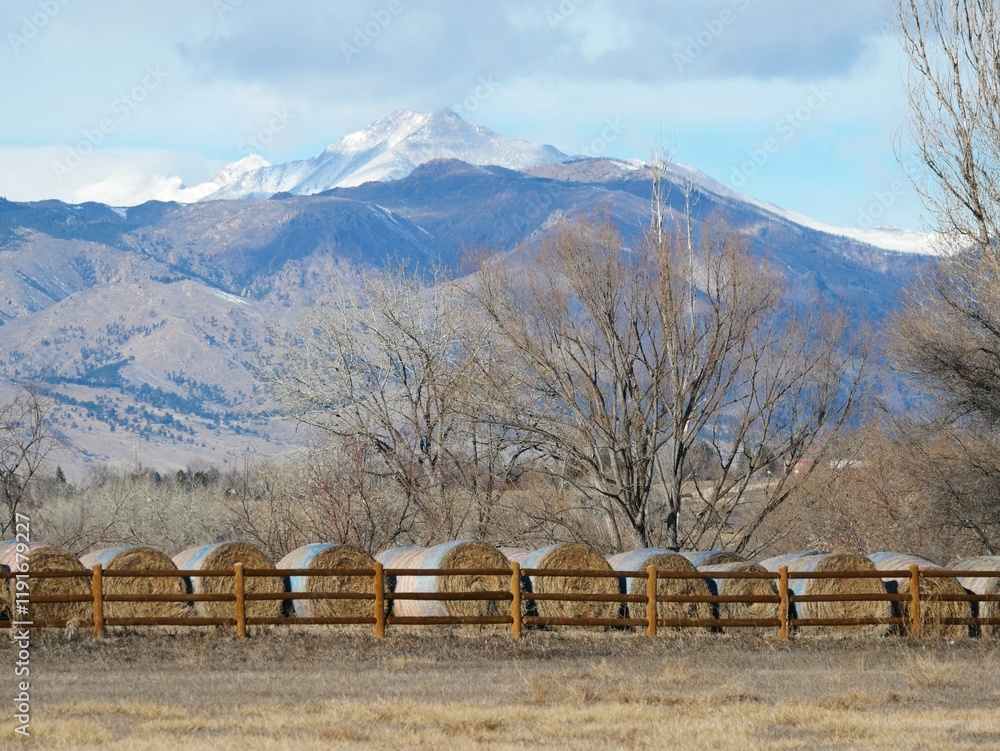 Winter Farms and Longs peak, Rocky Mountains, Colorado Winter Farms and Longs peak, Rocky Mountains, Colorado