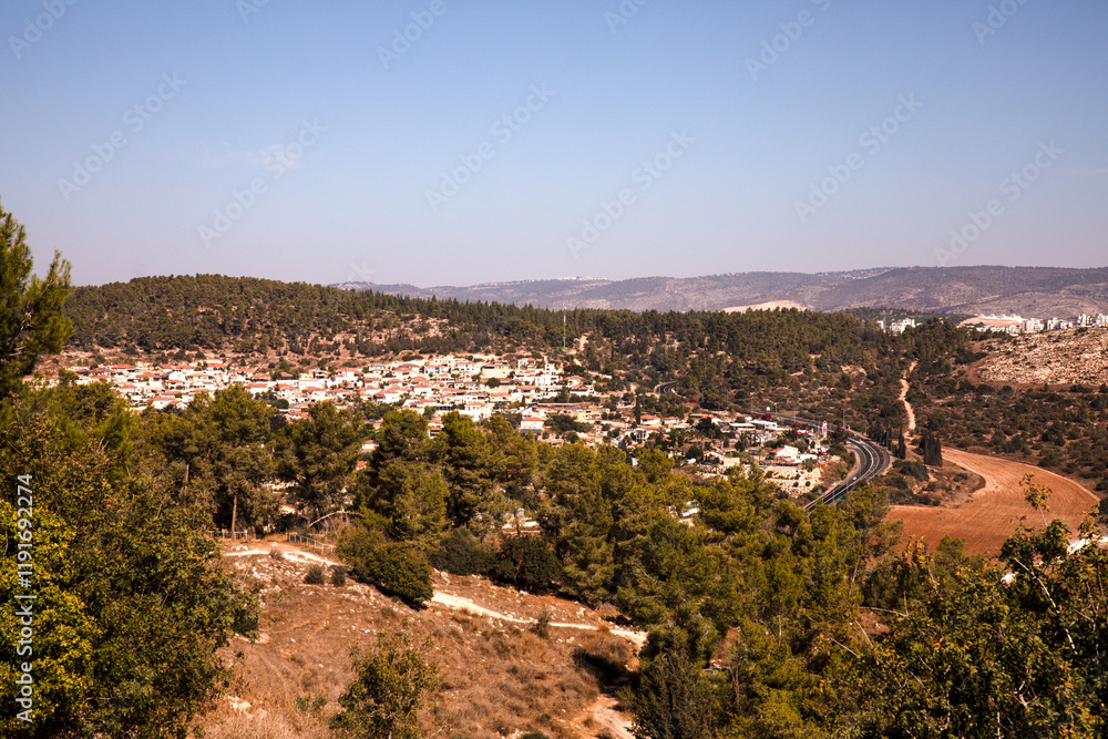 Fototapeta premium Scenic View of a Rural Town Surrounded by Nature