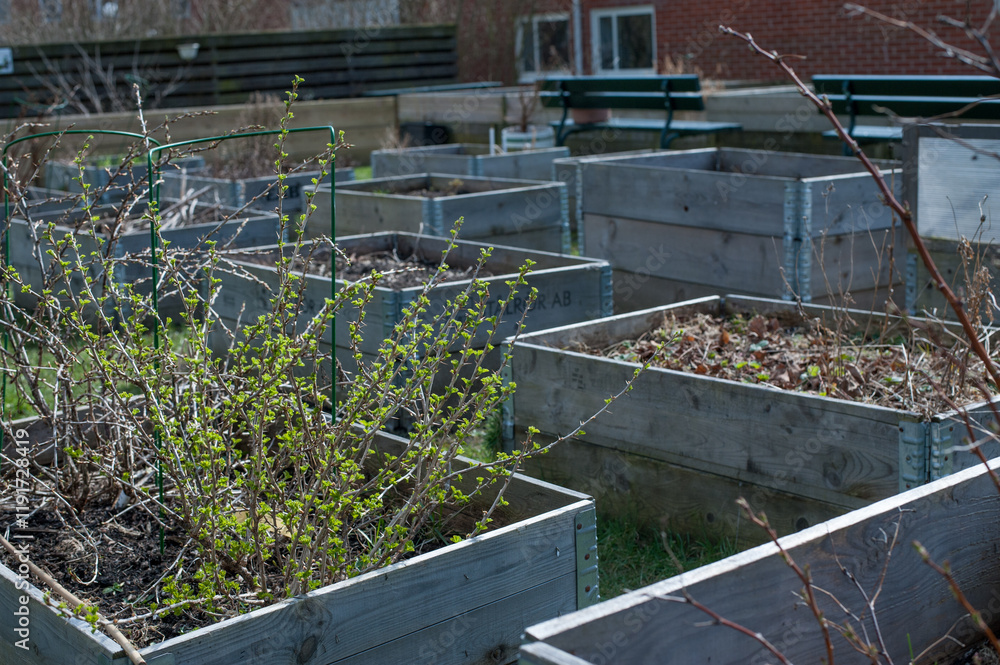 Pallet farming in an urban environment Pallet farming in an urban environment