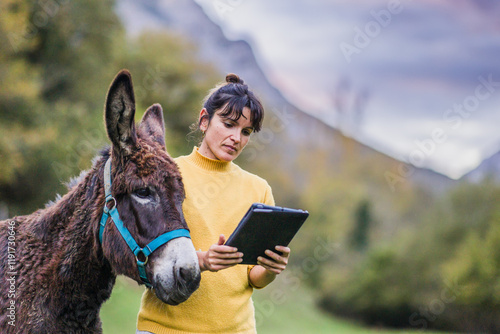 Billede på lærred Veterinarian using tablet while examining donkey in sanctuary in quiros, spain